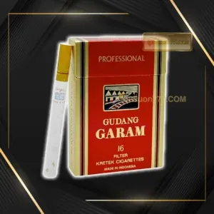 Garam 16 มวน