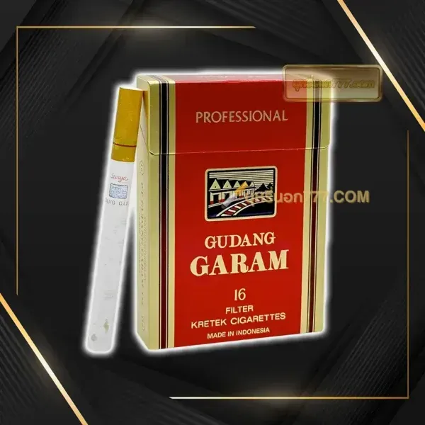 Garam 16 มวน