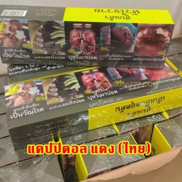 Capital แคปปิตอล แดง (ไทย) ซองแข็ง